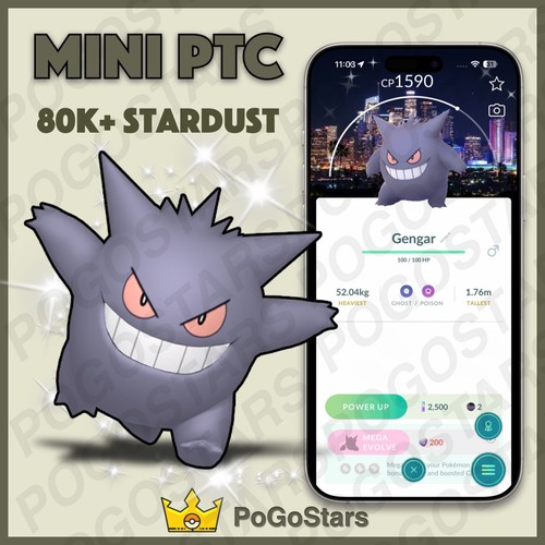 Pokémon ptc shiny gengar - go,