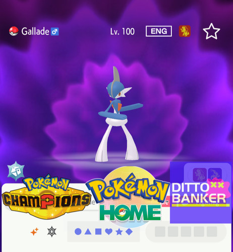 Pokemon campioni casa - pokemon, shiny