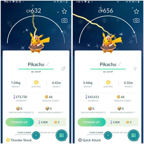 Pokémon pikachu lucido - pokémon,
